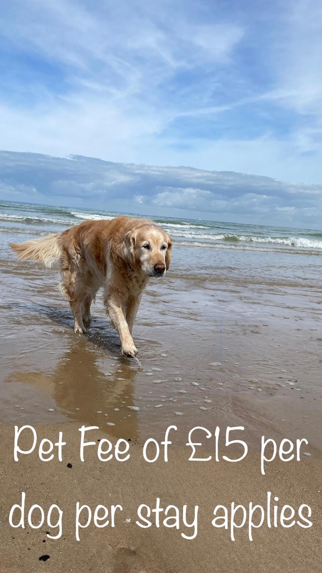 Fab Stay Uk - Coastal And Country Retreat With Free Secure Off Road Parking Minutes From Both Dover And Deal المظهر الخارجي الصورة